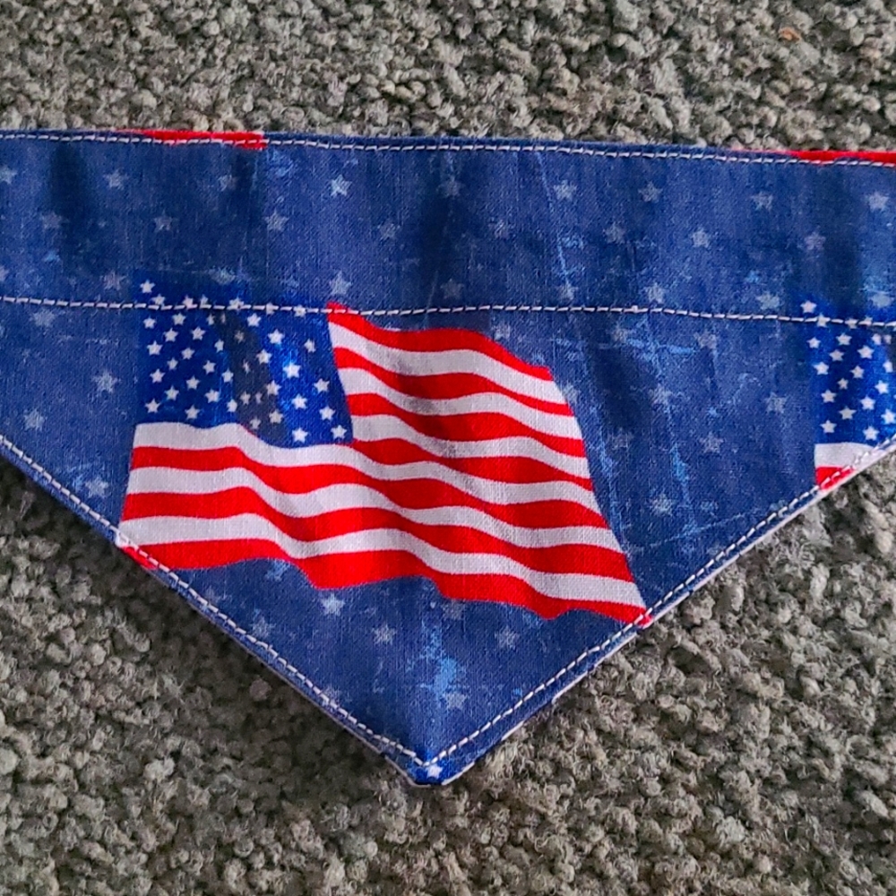 Xsmall reversible dog bandana